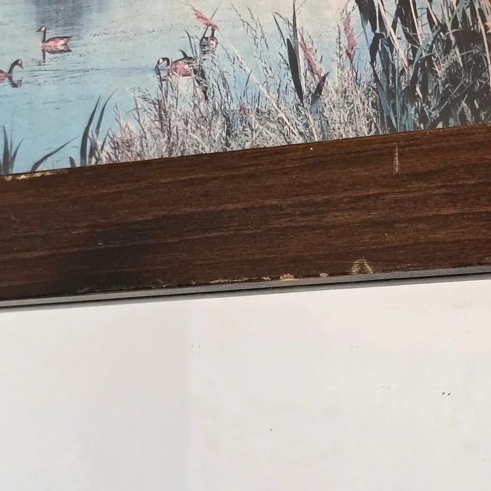 Vintage Rustic Wood Wall‎ Mirror Scenic Duck Nature Print Spindle Frame Rosettes